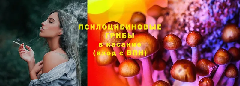 Галлюциногенные грибы GOLDEN TEACHER  Вихоревка 